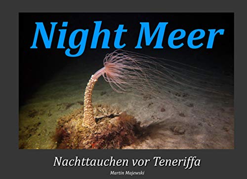 9783751902397: Night Meer: Nachttauchen vor Teneriffa