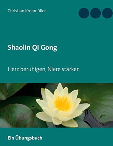 9783751979740: Shaolin Qi Gong: Herz beruhigen, Niere strken