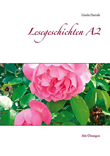 Stock image for Lesegeschichten A2: Mit bungen (German Edition) for sale by GF Books, Inc.