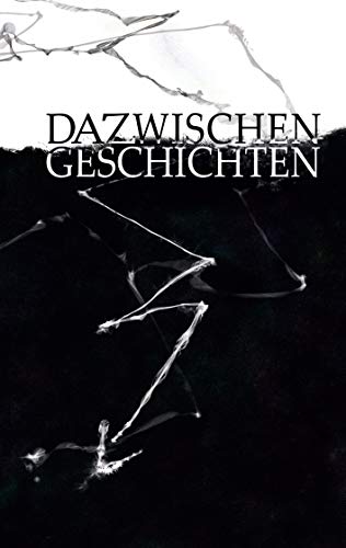 Stock image for Dazwischengeschichten (German Edition) for sale by Lucky's Textbooks