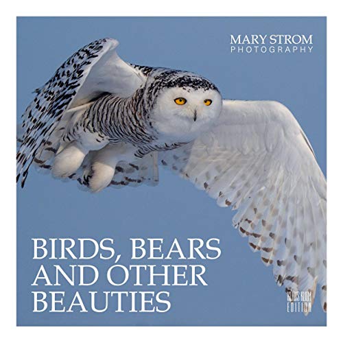 Beispielbild fr Birds, Bears and other Beauties -Language: german zum Verkauf von GreatBookPrices