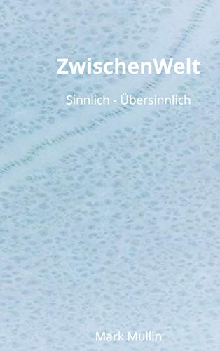 Stock image for ZwischenWelt: Sinnlich - bersinnlich (German Edition) for sale by Lucky's Textbooks