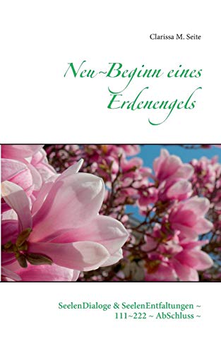 Stock image for Neu~Beginn eines Erdenengels: SeelenDialoge & SeelenEntfaltungen ~ 111~222 ~ AbSchluss ~ for sale by medimops