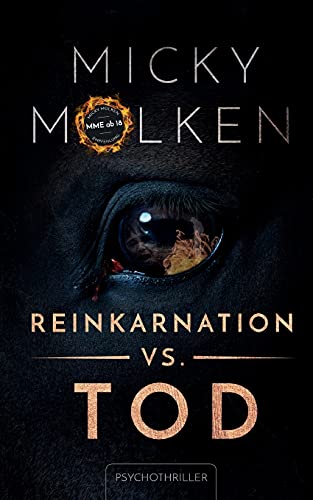 Beispielbild fr Reinkarnation vs. Tod zum Verkauf von medimops