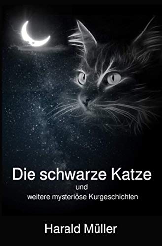 9783752993028: Die schwarze Katze und weitere mysterise Kurzgeschichten (German Edition)