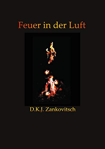 Stock image for Feuer in der Luft for sale by Blackwell's