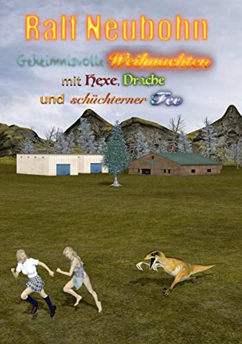 Stock image for Geheimnisvolle Weihnachten mit Hexe, Drache und schchterner Fee (German Edition) for sale by Lucky's Textbooks