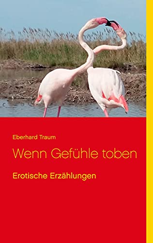 Stock image for Wenn Gefhle toben: Erotische Erzhlungen (German Edition) for sale by Lucky's Textbooks
