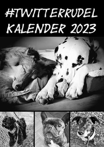 Beispielbild fr Kalender 2023 A5 Ringbuch: #twitterrudel Die coolsten Dogs im Internet zum Verkauf von medimops