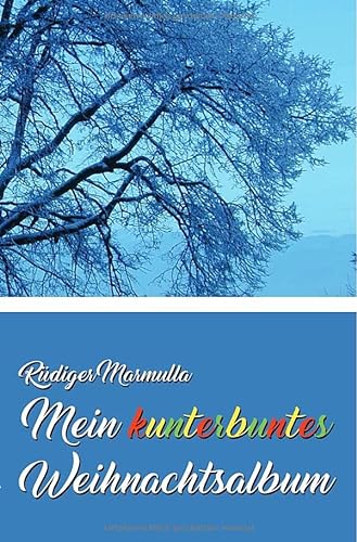 Stock image for Mein kunterbuntes Weihnachtsalbum: 24 kurze Geschichten fr den Advent for sale by medimops