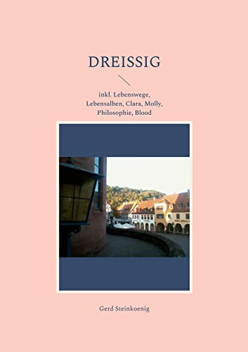 Stock image for Dreiig:inkl. Lebenswege, Lebensalben, Clara, Molly, Philosophie, Blood for sale by Blackwell's