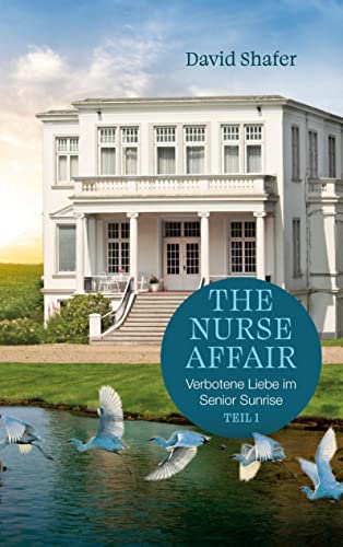 Stock image for The Nurse Affair for sale by medimops