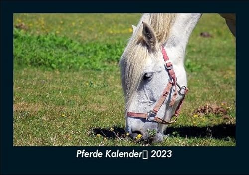 9783755916185: Pferde Kalender 2023 Fotokalender DIN A5: Monatskalender mit Bild-Motiven von Haustieren, Bauernhof, wilden Tieren und Raubtieren