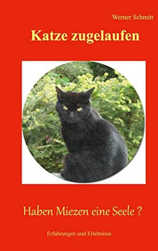 Beispielbild fr Katze zugelaufen: Haben Miezen eine Seele ? zum Verkauf von WorldofBooks