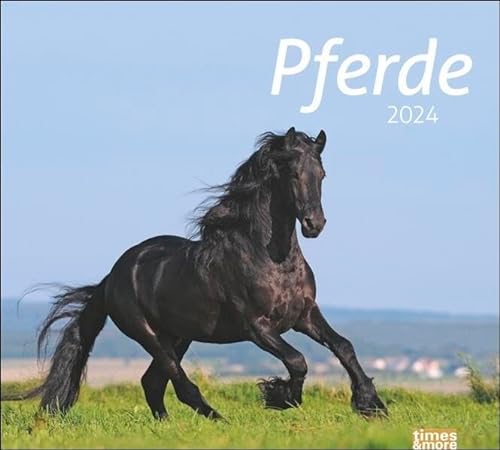 9783756401130: times&more Pferde Bildkalender 2024