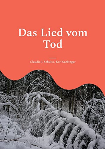 Stock image for Das Lied vom Tod: Einmal Psychiatrie und zurck (German Edition) for sale by Lucky's Textbooks