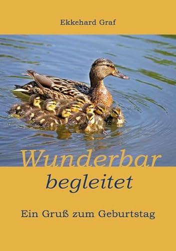 Stock image for Wunderbar begleitet Ein Gru zum Geburtstag for sale by Buchpark