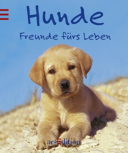 Stock image for Hunde: Freunde frs Leben for sale by medimops