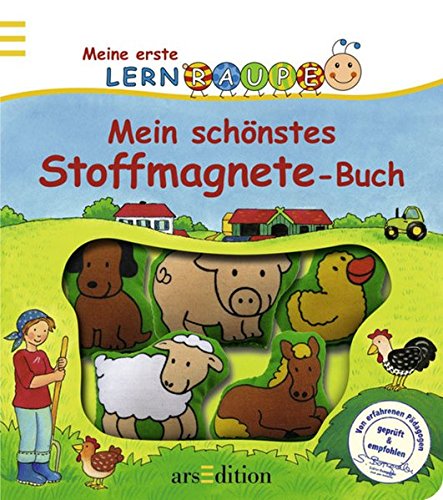 9783760734439: Mein schnstes Stoffmagnete-Buch