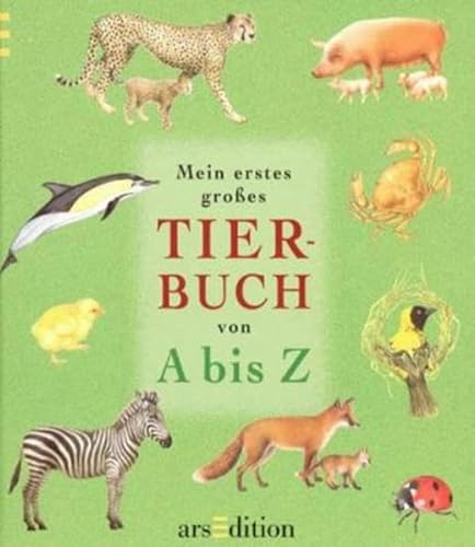 Beispielbild fr Mein erstes groes Tierbuch von A bis Z zum Verkauf von medimops