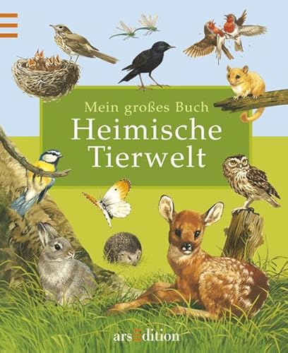 Beispielbild fr Mein groes Buch - Heimische Tierwelt zum Verkauf von medimops