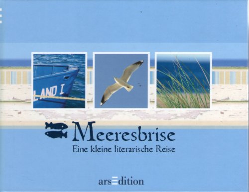 Stock image for Meeresbrise: Eine kleine literarische Reise for sale by medimops