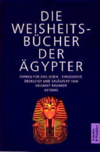 Imagen de archivo de Die Weisheitsbucher der Agypter. Lehren fur das Leben a la venta por Windows Booksellers