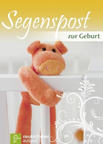 Stock image for Segenspost zur Geburt for sale by medimops