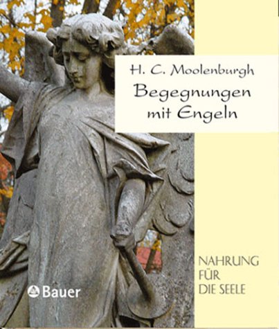 Stock image for Begegnungen mit Engeln for sale by medimops