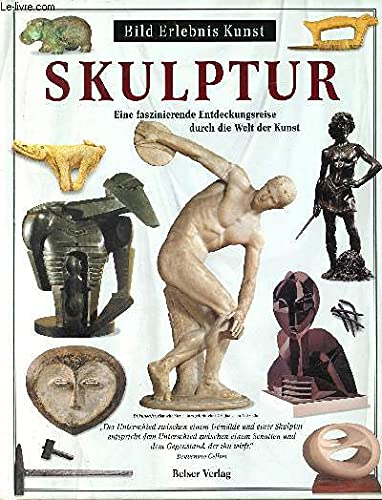 Beispielbild fr Skulptur. Eine faszinierende Entdeckungsreise durch die Welt der Kunst zum Verkauf von medimops