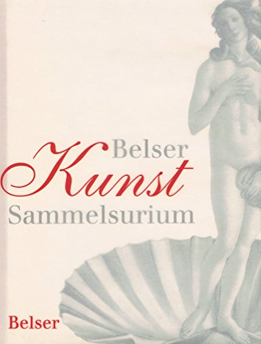 Stock image for Belser Kunst Sammelsurium for sale by medimops