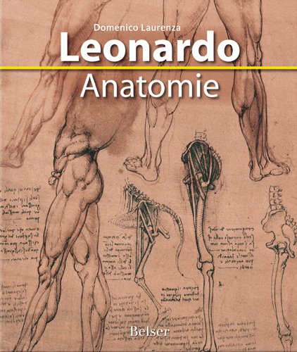 Beispielbild fr Leonardo Anatomie zum Verkauf von medimops