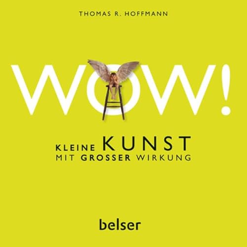 Beispielbild fr WOW! - Kleine Kunst mit groer Wirkung. zum Verkauf von Grammat Antiquariat