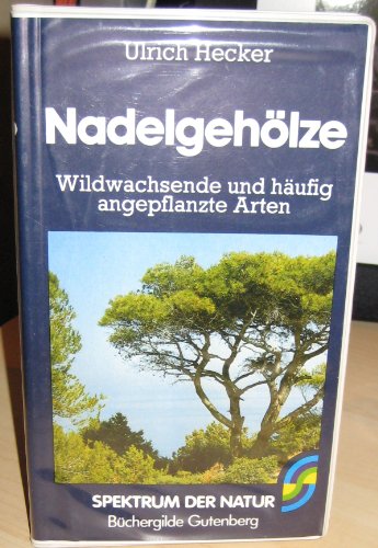 Beispielbild fr Nadelgehlze : Wildwachsende und hufig angepflanzte Arten. Reihe "Spektrum der Natur". zum Verkauf von Antiquariat KAMAS