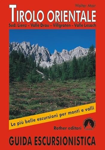 Stock image for Tirolo Orientale Sud: Lienz - Valle Drau - Villgraten - Valle Lesach (Guida Escursionistica) for sale by medimops