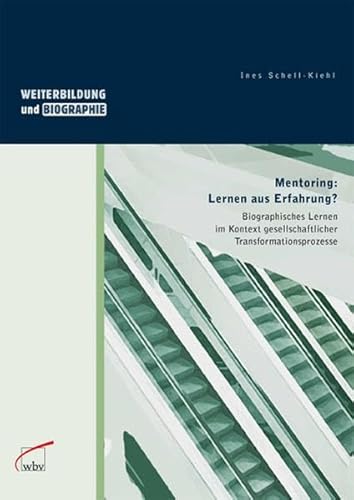 Mentoring: Lernen aus Erfahrung?: Biographisches Lernen im Kontext gesellschaftlicher Transformationsprozesse - Ines Schell-Kiehl