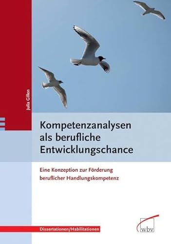 9783763934720: Kompetenzanalysen als berufliche Entwicklungschance: Eine Konzeption zur Frderung beruflicher Handlungskompetenz - Gillen, Julia