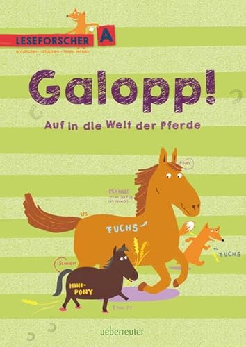 Beispielbild fr Galopp! Auf in die Welt der Pferde: Leseforscher A (Leseforscher ABC) zum Verkauf von medimops