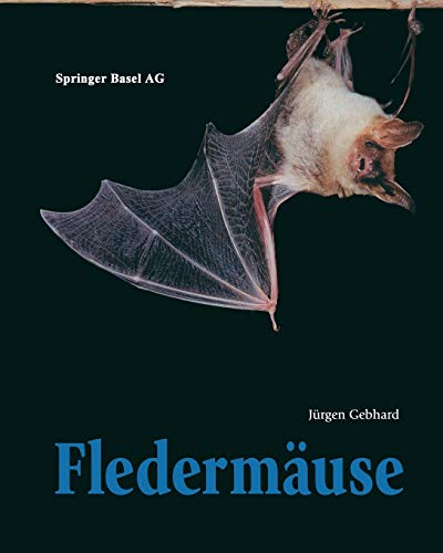 Fledermäuse (German Edition) - Gebhard, Jürgen