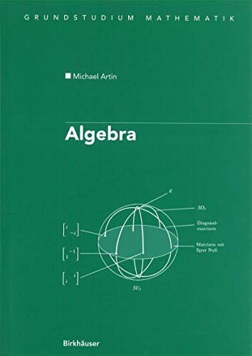 Imagen de archivo de Algebra (Grundstudium Mathematik) a la venta por medimops