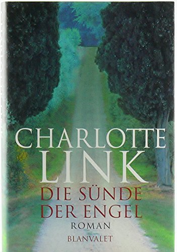 9783764501143: Die Snde der Engel (Roman)