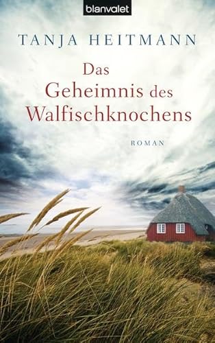 9783764504625: Das Geheimnis des Walfischknochens