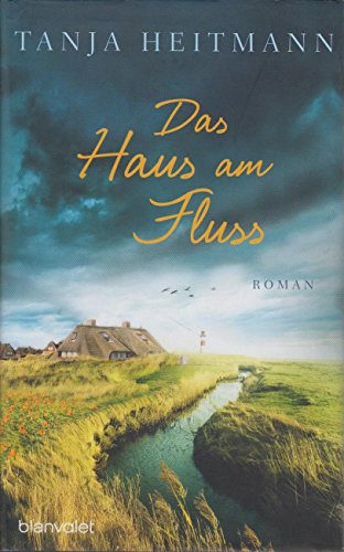 Stock image for Das Haus am Fluss: Roman for sale by medimops