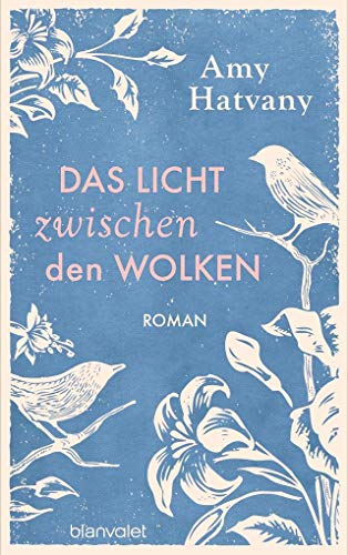Stock image for Das Licht zwischen den Wolken: Roman for sale by medimops