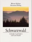 Schwarzwald: Lebendige Landschaft in Licht und Dunkel