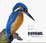 9783765081439: Eisvgel