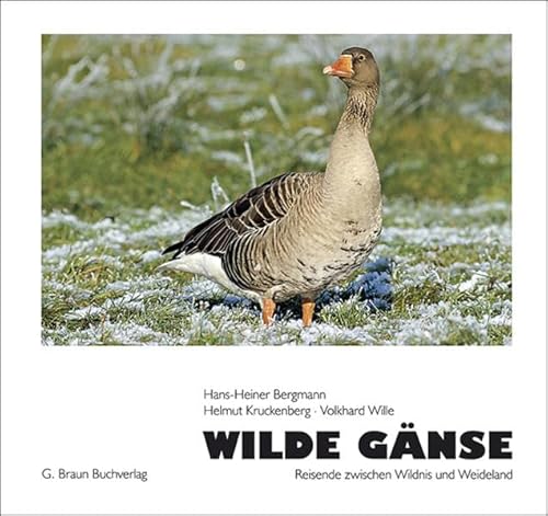 9783765083211: Wilde Gnse: Reise zwischen Wildnis und Weideland