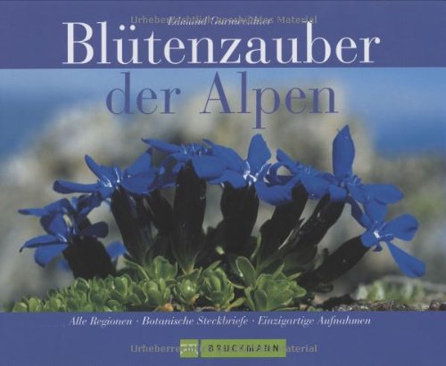 9783765440755: Bltenzauber der Alpen.