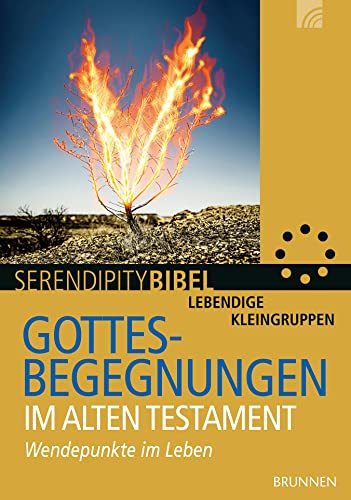 Gottesbegegnungen im Alten Testament : Wendepunkte im Leben - Stefan Kürle