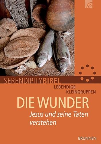 Die Wunder. Jesus und seine Taten verstehen